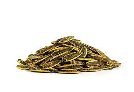 چیت چی همراه همیشگی