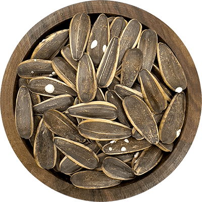 خرید و قیمت تخمه افتابگردان چیت چی